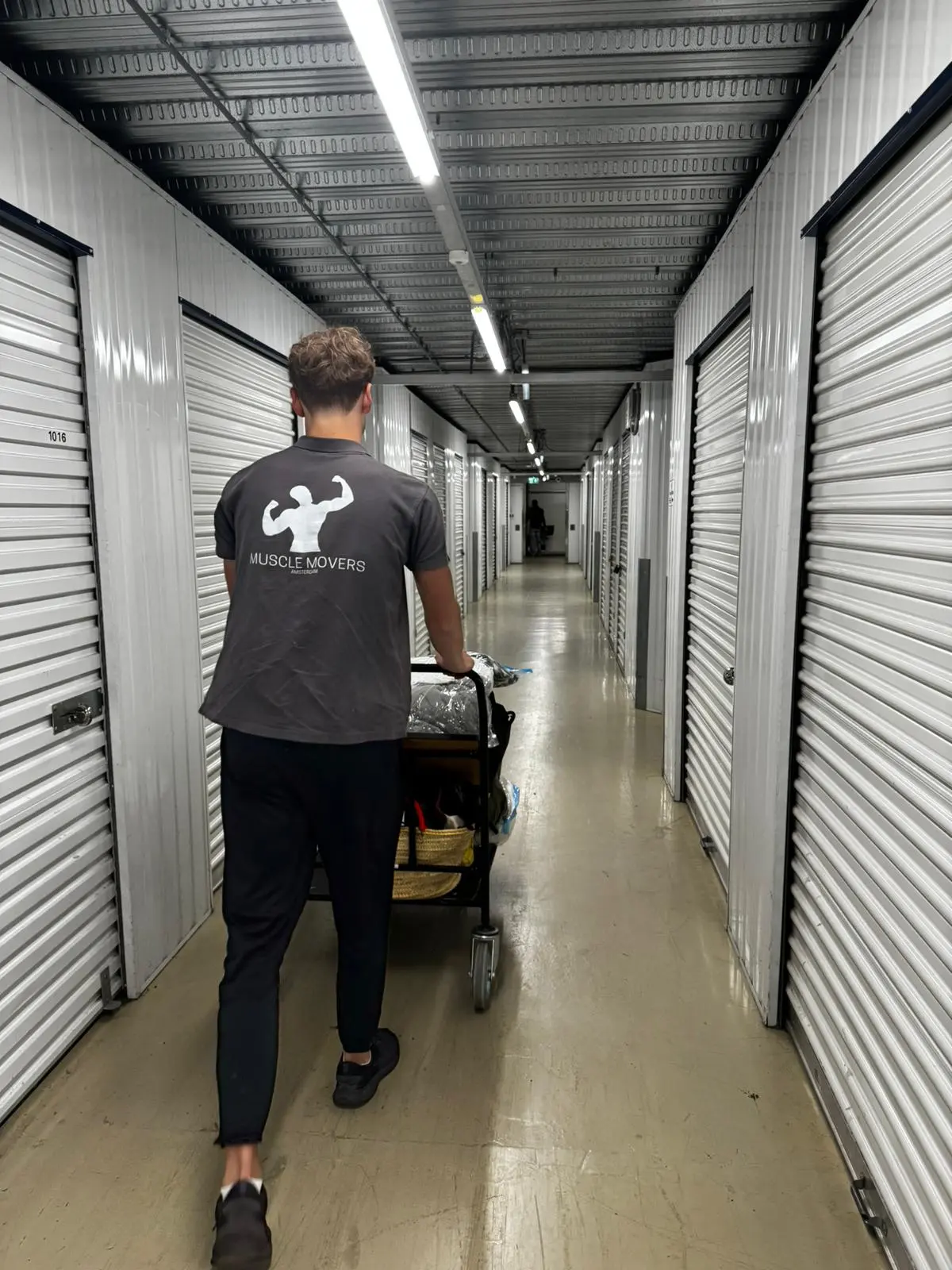 loods musclemoverswebp