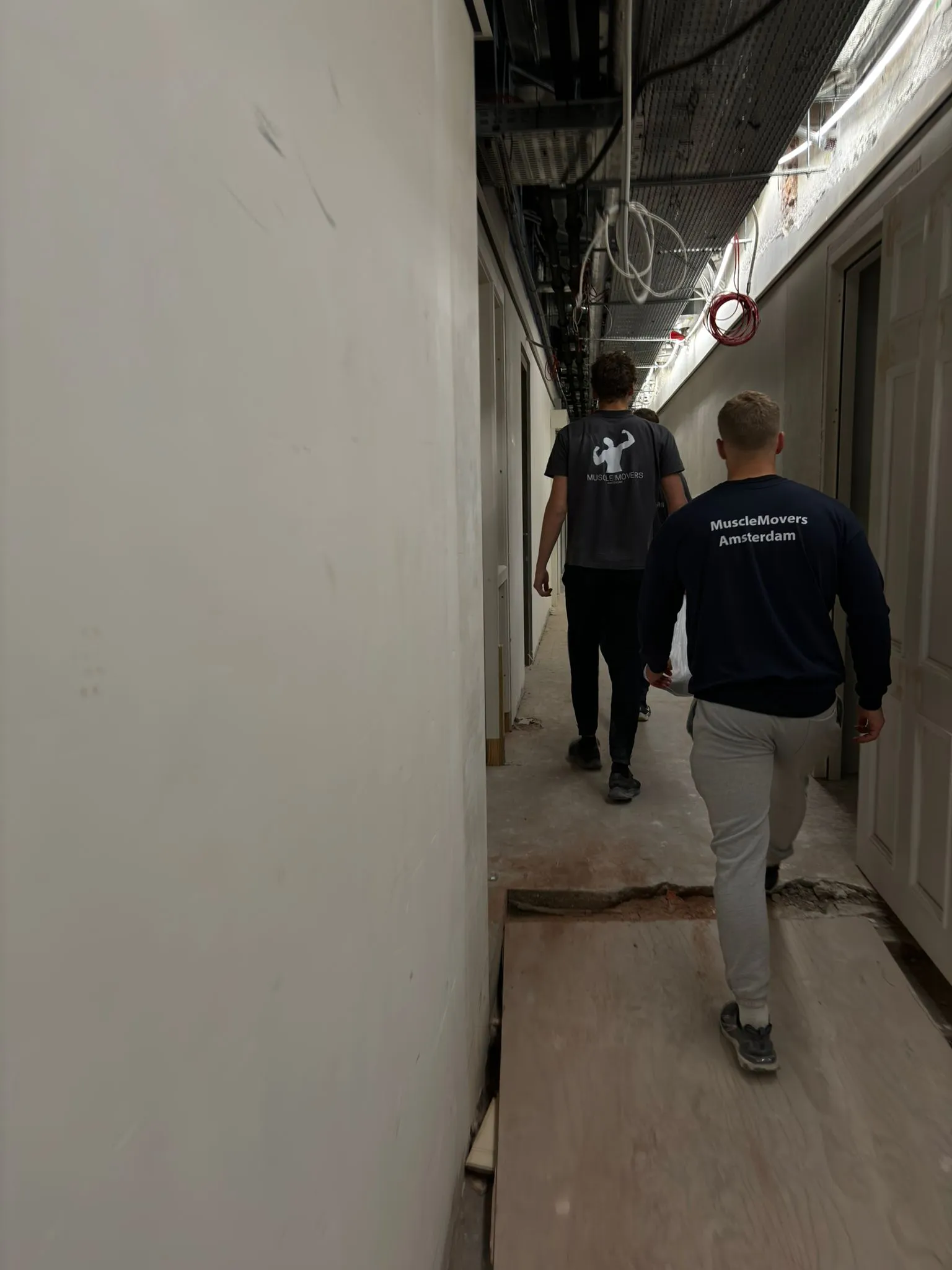 musclemovers elektrowebp